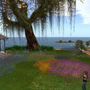 Thumb 556820e58da5724fea000001