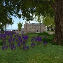 Thumb 556a7d30f8a1ec0b42000001