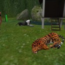 Thumb 556bdbb7f8a1ec5f38000001