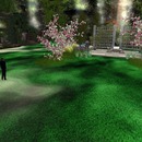 Thumb 556caf298da57239c9000001