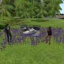 Thumb 55791df08da57254aa000001