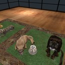 Thumb 5579da6ef8a1ec5727000001