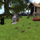 Thumb 559724fef8a1ec68a3000001