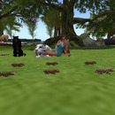 Thumb 559725fff8a1ec6f8b000001