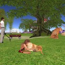 Thumb 559f32fd128cc92ea2000001