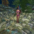 Thumb 55a87c78128cc93186000001