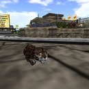 Thumb 55a983848da5725d21000001