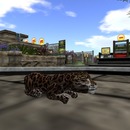 Thumb 55a9838c128cc95b0a000001