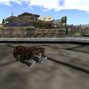 Thumb 55a983b8a73e214188000001