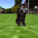 Thumb 55ac7e37f8a1ec2399000001