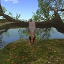 Thumb 55ac8e498da5727e18000001