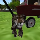 Thumb 55ae2522128cc911b7000001