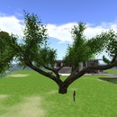 Thumb 55b0dbd8f8a1ec2eca000001