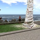 Thumb 55b3706ca73e2175ed000001