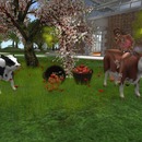 Thumb 55b4322e8da572407d000001