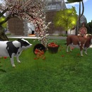 Thumb 55b43298128cc94c00000001