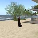 Thumb 55b7a513a73e211adc000001