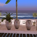 Thumb 55b94d8a8da57245c3000001