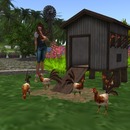 Thumb 55bbe0208da5727455000001