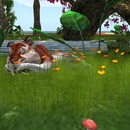 Thumb 55bbff3ff8a1ec29cc000001