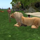 Thumb 55bc5b628da5722d9b000001