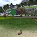 Thumb 55bc60c88da5724bb8000001