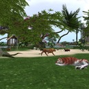 Thumb 55bc6217a73e21716a000001