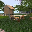 Thumb 55bc628ca73e2173dc000001