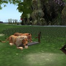 Thumb 55bc62d2128cc91059000001