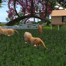 Thumb 55bc6369a73e217aa4000001