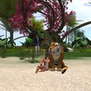 Thumb 55bce736a73e21729f000001