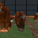 Thumb 55bd032ca73e214754000001