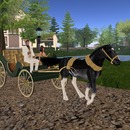 Thumb 55bebab2a73e21094c000001