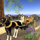 Thumb 55bebe8e8da5724652000001