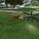 Thumb 55c25f22f8a1ec4ee2000001