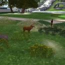 Thumb 55c260518da5724adb000001