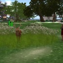 Thumb 55c261bb128cc91dc4000001