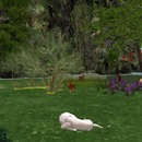 Thumb 55c2635f128cc9289f000001