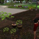 Thumb 55c26d61f8a1ec4136000001