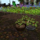 Thumb 55c26e06f8a1ec4669000001