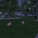 Thumb 55c2fdff8da5725f76000001