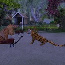 Thumb 55c2ff85a73e216e2a000001