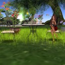 Thumb 55c33edd8da5727462000001