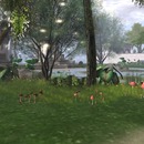 Thumb 55c36e57128cc95590000001