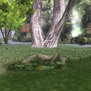 Thumb 55c36eeaa73e217347000001