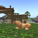 Thumb 55ca2709f8a1ec35dc000001