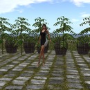 Thumb 55ccdfd2f8a1ec1af9000001