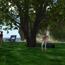 Thumb 55cfc9eba73e2155f7000001