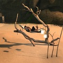 Thumb 58c73aa4b0154046d2000001