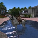 Thumb 58c82c8cb015403965000001